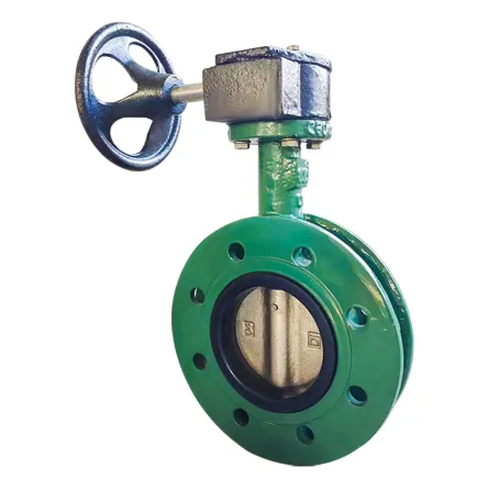 Choosing the Right Butterfly Valve for Your Needs