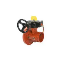 china check valve on suction side of pump