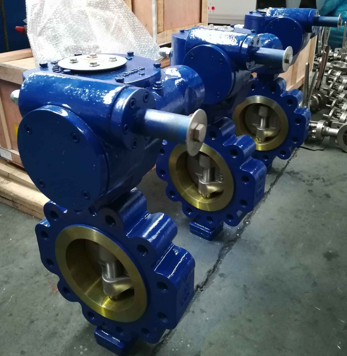 Double Offset Butterfly Valve Manufacturer and Exporter for Industrial Applications