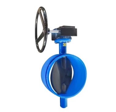 The Versatility of Grooved Butterfly Valves