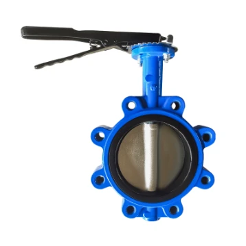 Your Guide to Lug Type Butterfly Valves
