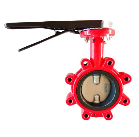 Cast Iron Butterfly Valve for Corrosive and Hygienic Environments