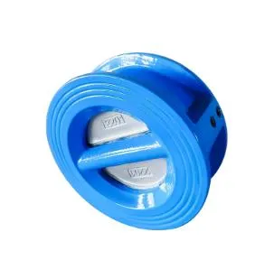 The Benefits of Using Stainless Steel Wafer Check Valves