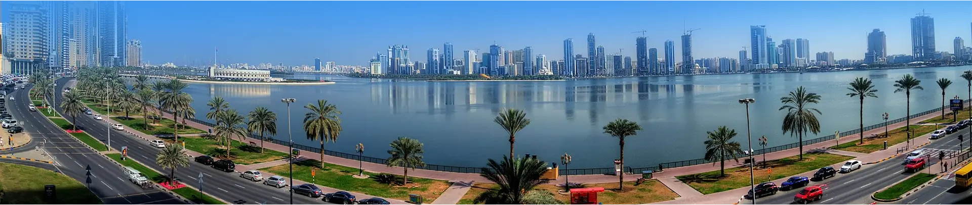 Back Pressure Check Valve Manufacturing and Quality Assurance Insights Back Pressure Check Valve Manufacturing and Quality Assurance Insights