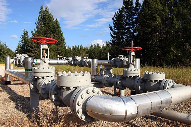 Stainless Steel Flanged Butterfly Valve Manufacturers and Suppliers for High-Quality Solutions