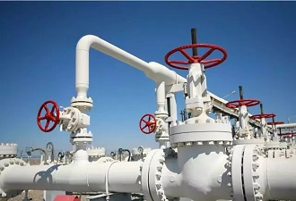 china rubber check valve