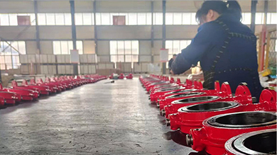 check valve on suction side of pump factory