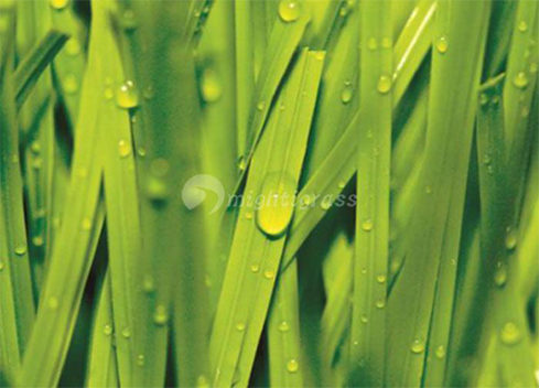 Top Suppliers for 60 Inch Butterfly Valves in the Market Today Top Suppliers for 60 Inch Butterfly Valves in the Market Today