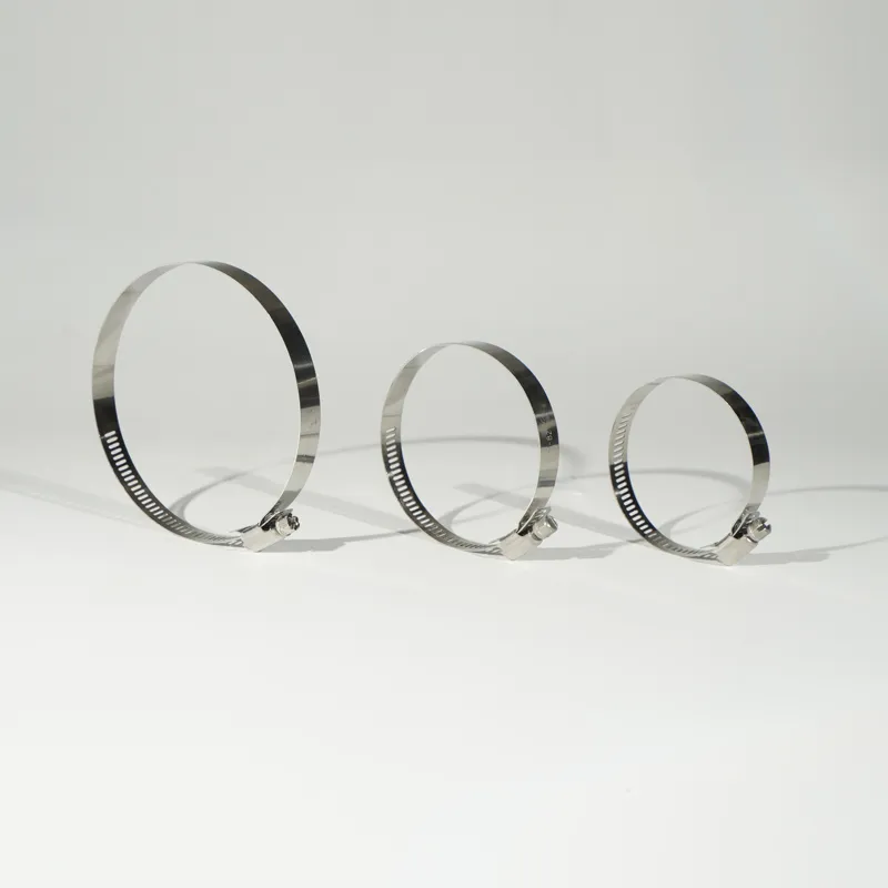 Narrow Stainless Steel Hose Clamps Provide Secure Sealing Solutions
