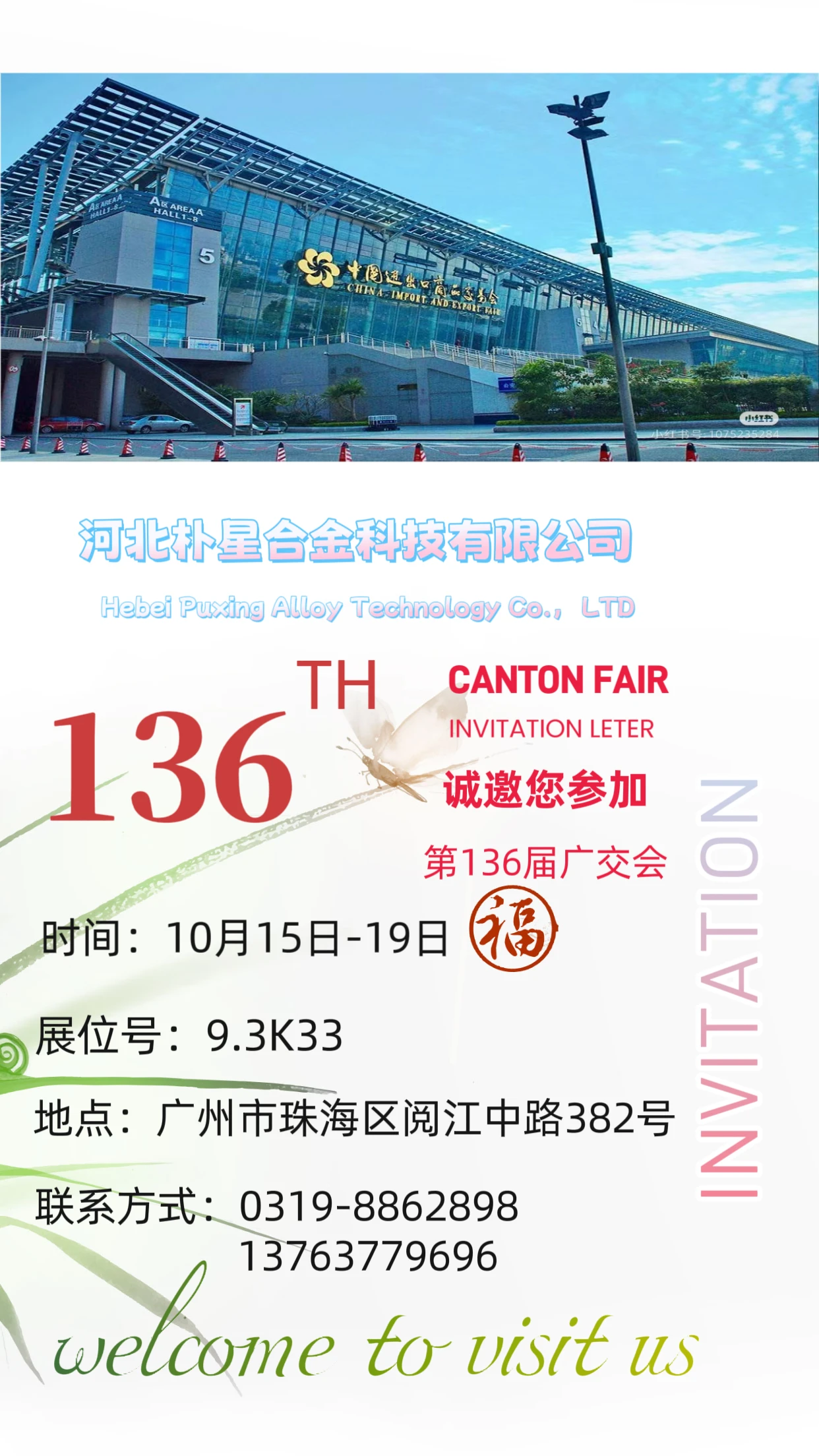 Pinces de type allemand de haute qualité Pinces de tuyau en acier inoxydable