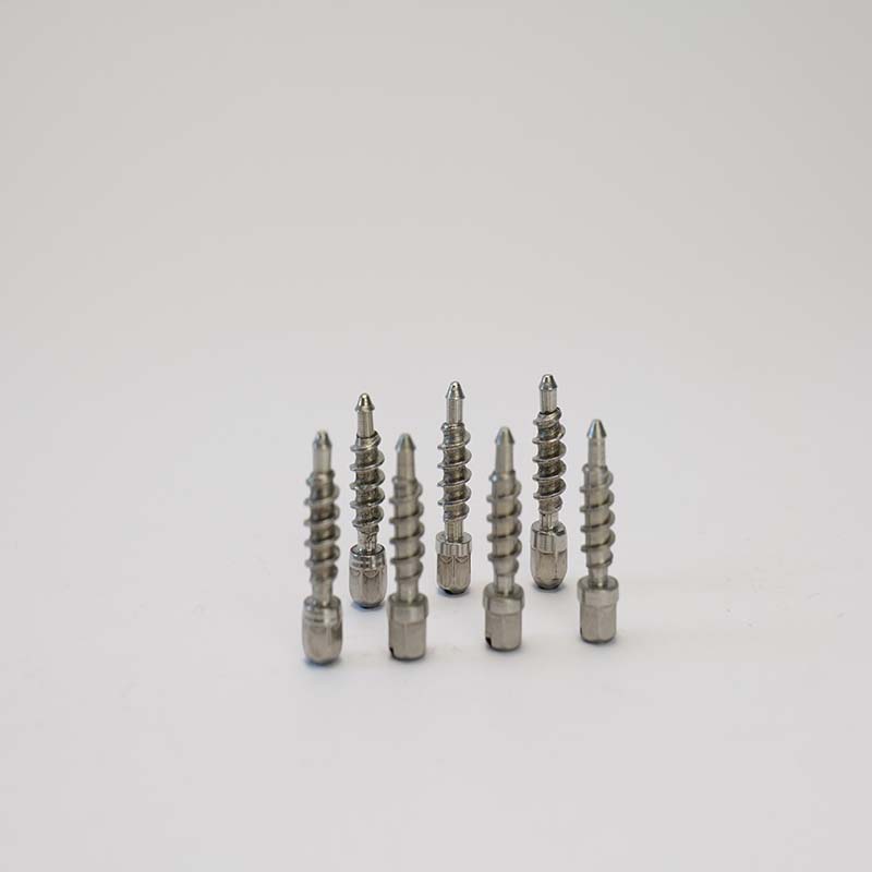 High Quality Screw Hose Clamp for Durable, Secure Connections