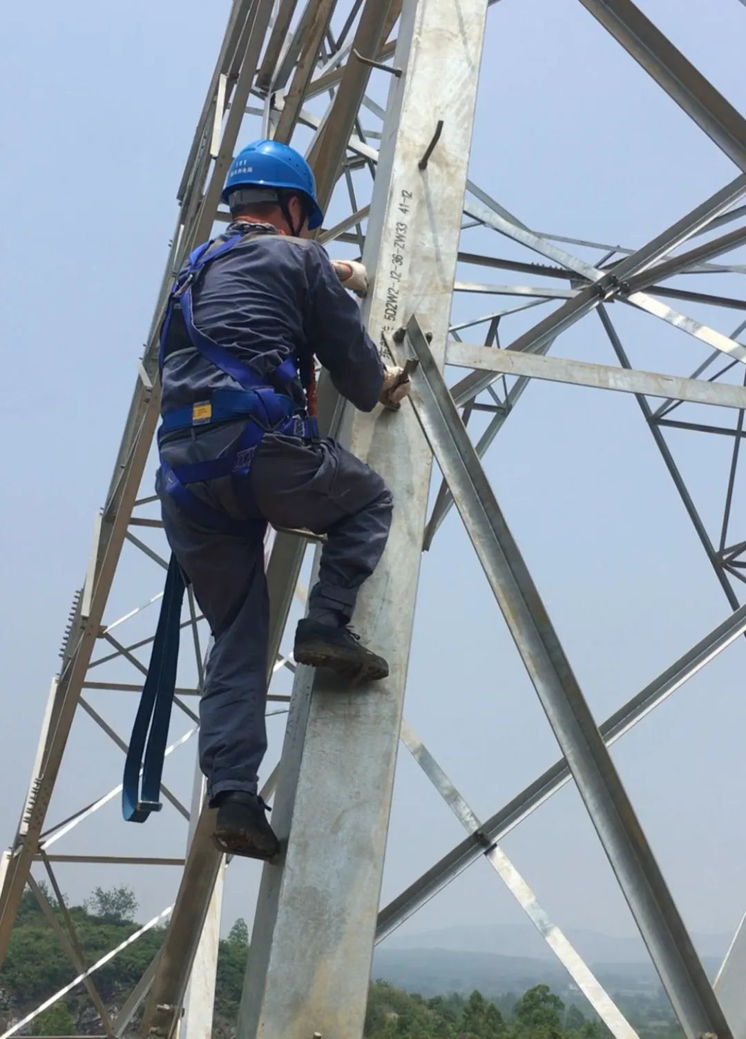 stainless hose clamp