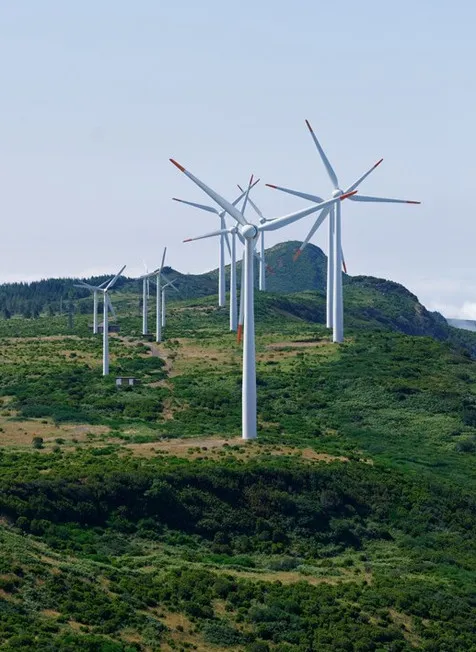 equipment wash station