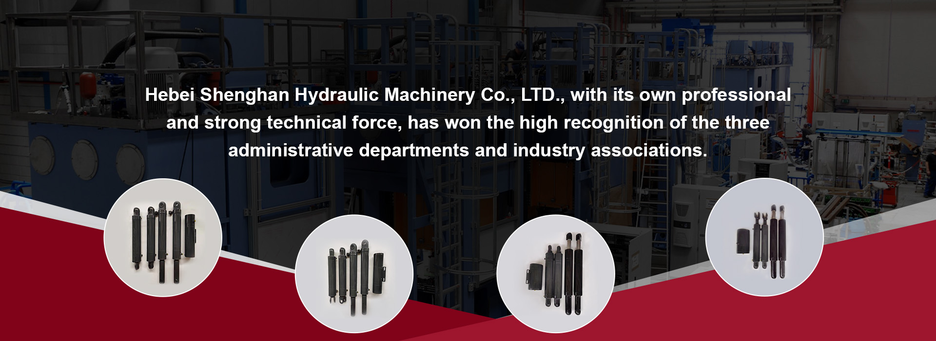 vertical hydraulic cylinder product