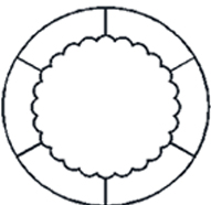 automatic measuring projector companies