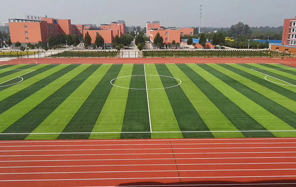 This product is developed and produced using the principle of sword-shaped structure. It has the characteristics of fullness,straightness, rebound, wear resistance and simulation. Wear resistance, this product is 2-3 times more wear-resistant than other models. The splitting rate is much lower than that of other products. The middle of the grass filament is the position in contact with the outside world, but the middle part of the entire grass filament is the thickest. It can effectively reduce split hair loss caused by friction, which is 2-3 times that of ordinary products.