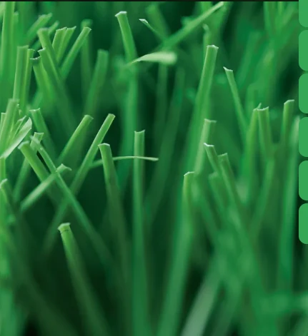 Exploring the Benefits of Coloured Artificial Grass for Your Outdoor Space Exploring the Benefits of Coloured Artificial Grass for Your Outdoor Space