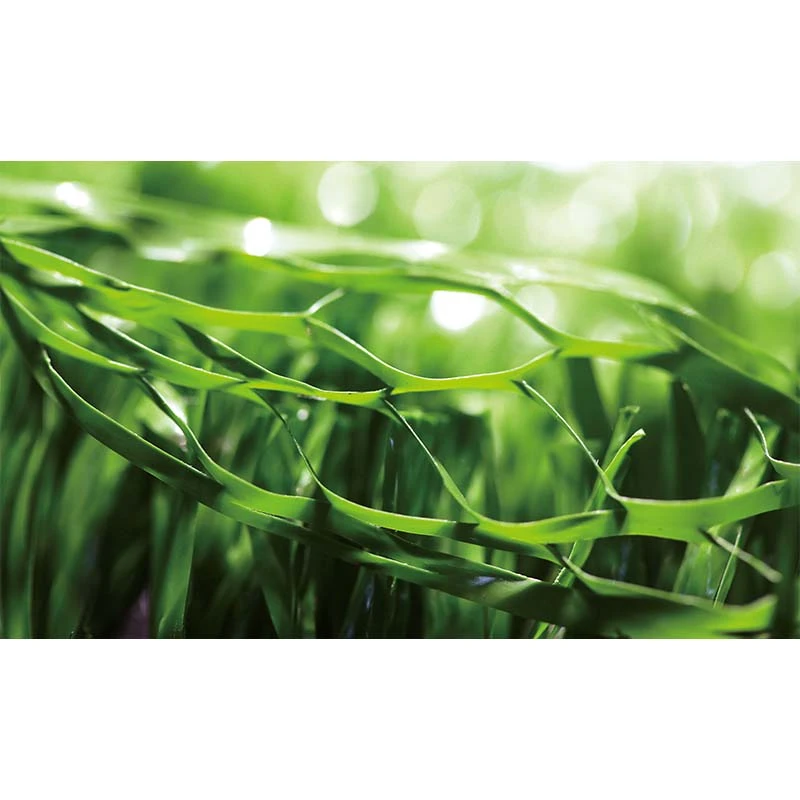 Installation method of Fake Lawn