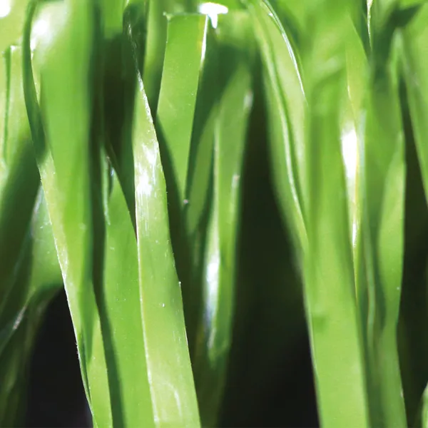 The Main Application Areas and Installation of Commercial Fake Grass