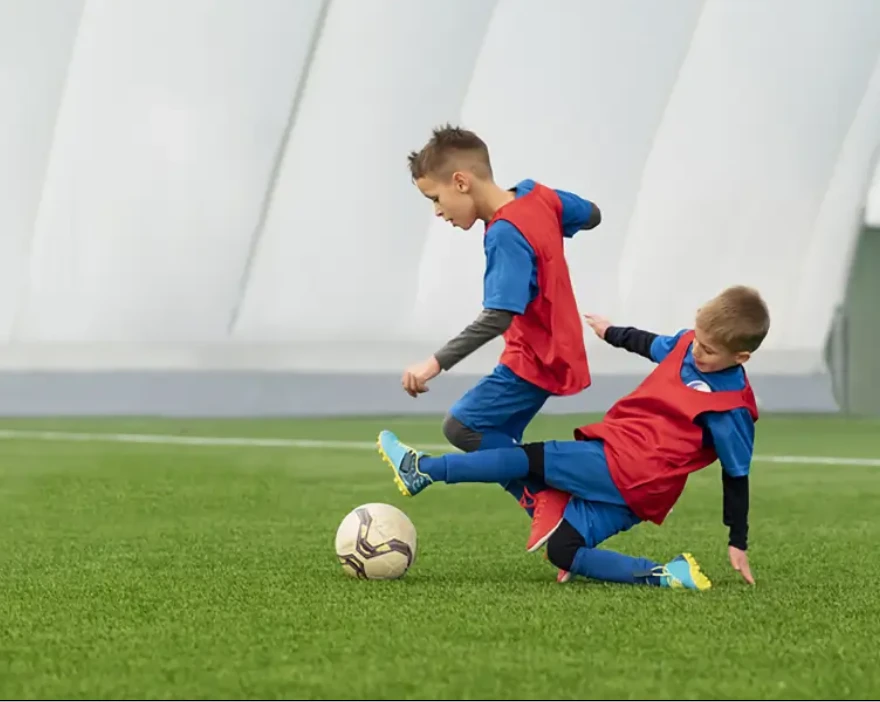 What is the Difference Between Artificial Grass and Other Natural Lawns