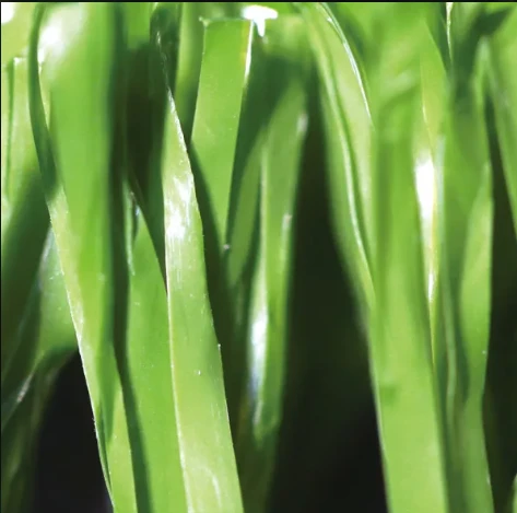 Artificial Athletic Turf