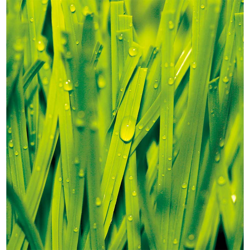 Artificial Grass for Football, MT-Stem-Plus / MT-Stem XL-Plus