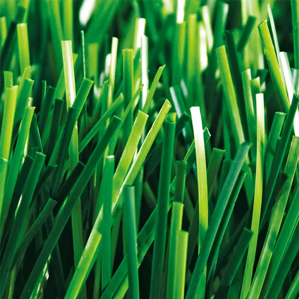 Artificial Grass for Pets, MT-Graceful