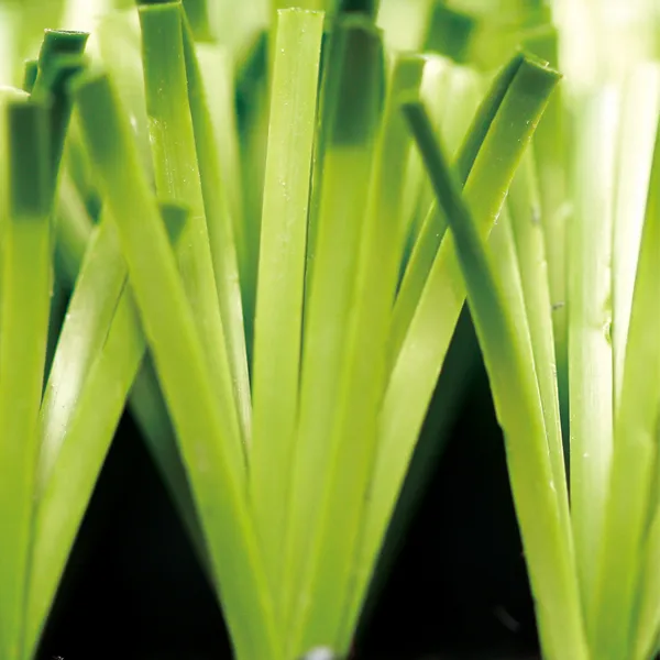 Multi-Purpose Synthetic Grass, MT-Diamond