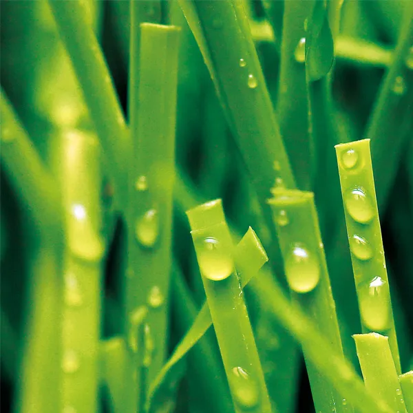 Synthetic Grass for Tennis, MT-Peace