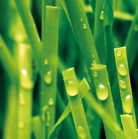 Elevate Your Game with Artificial Grass for Football: The Ultimate Playing Surface