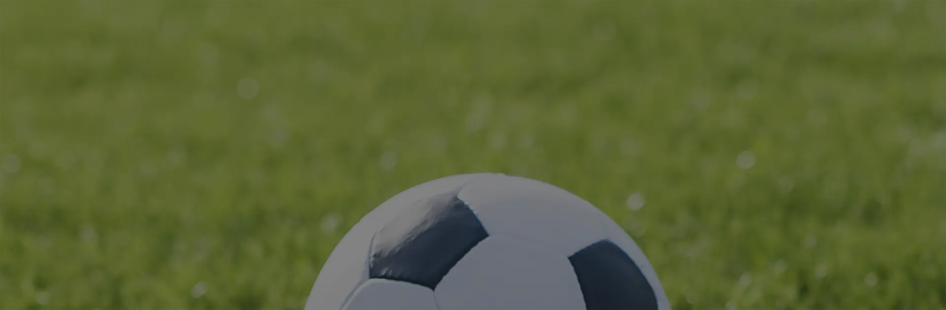 We are the main supplier of many domestic and foreign sports companies.