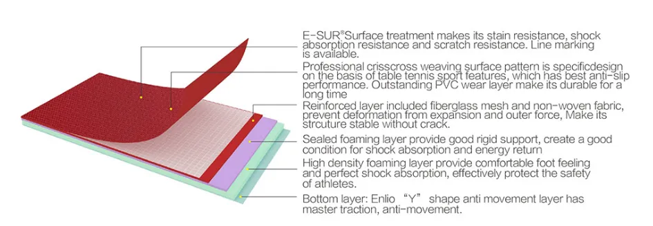 Pickleball Court vs Tennis Court