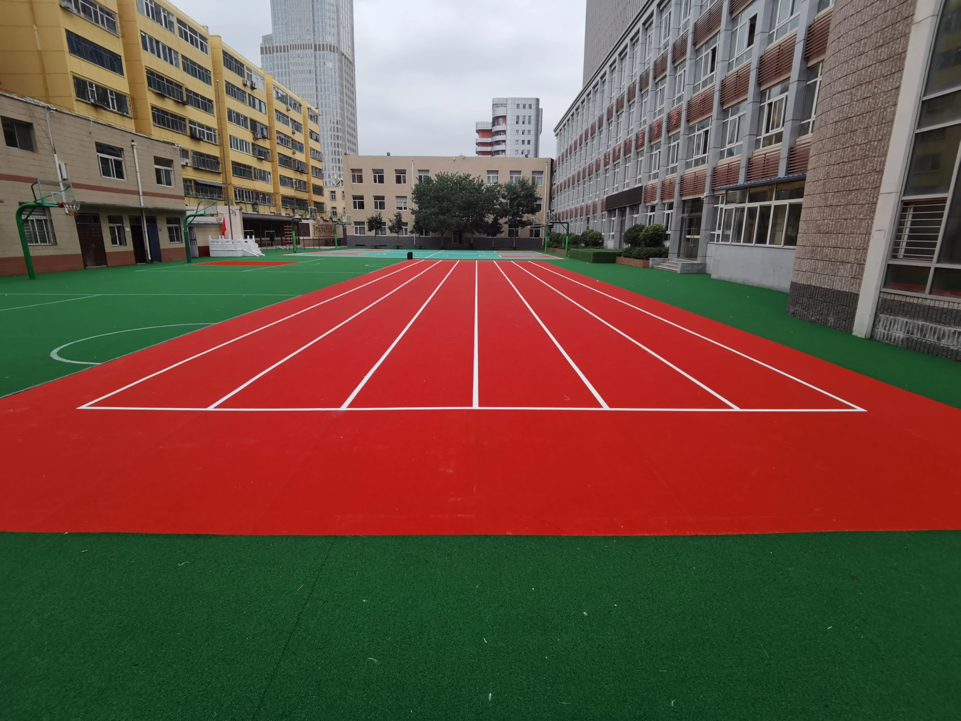 The Perfect Basketball Stand for Every Play: Discover the Top Options