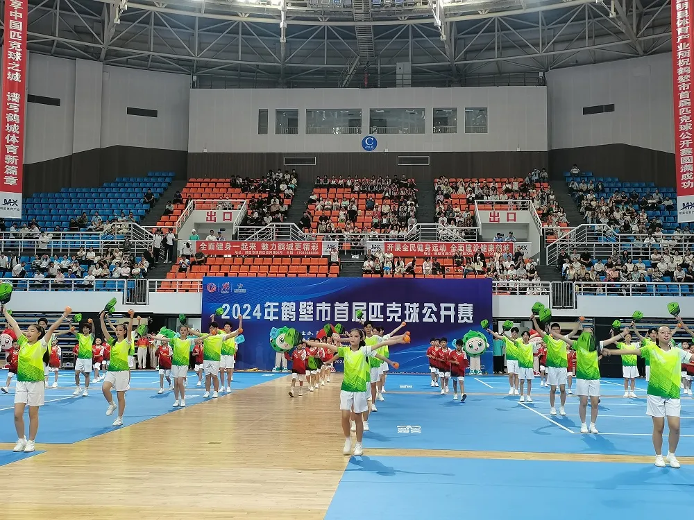 Affordable Basketball Hoop and Stand for Outdoor Fun and Competitive Play