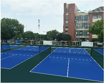 The role of backyard pickleball in maintaining a positive state for modern young people