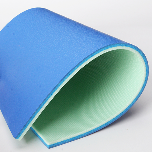 Understanding the Dimensions and Layout of a Badminton Court with Posts and Net