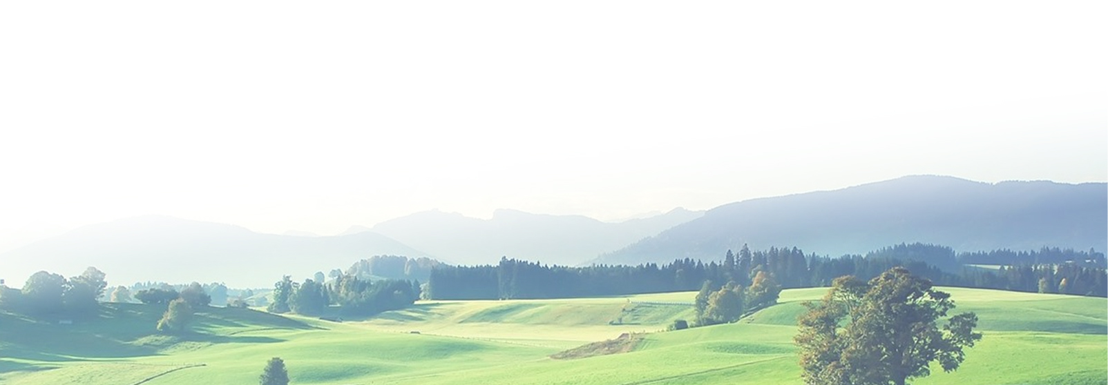 badminton ground mat