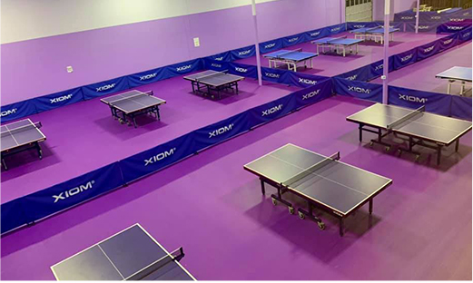 Table Tennis Court Mat