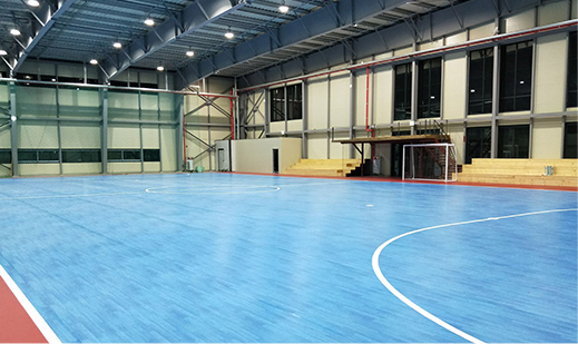 PVC Futsal Court