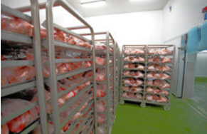 Essential Home Gym Mats for Protecting Your Floor and Enhancing Workout Experience