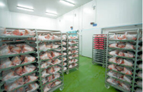 High-Quality Black Rubber Gym Mats for Ultimate Performance and Comfort During Workouts