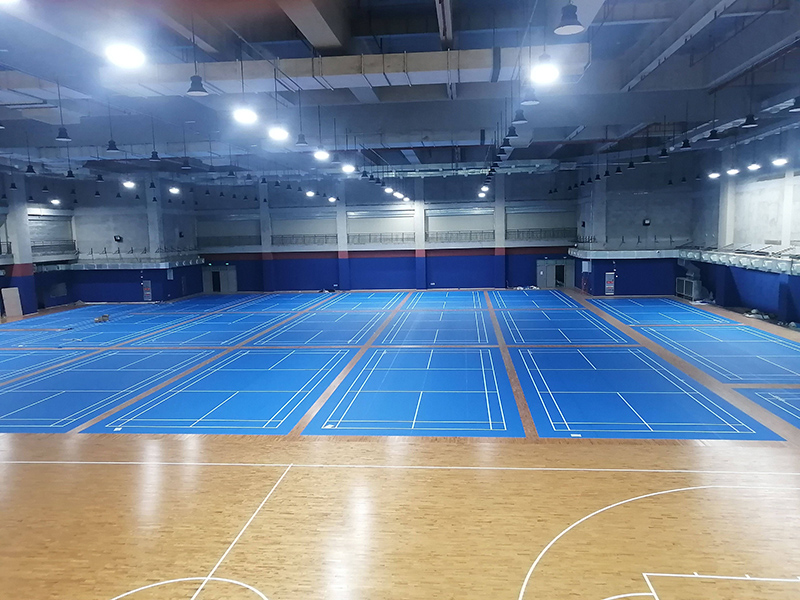 Portable Basketball Hoop for Outdoor Games and Practice Sessions