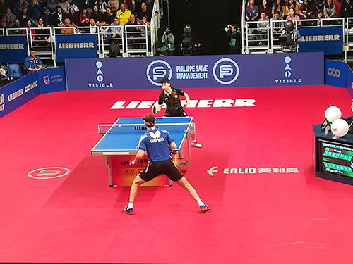 Affordable Basketball Hoops and Stands | Quality and Value for All Players