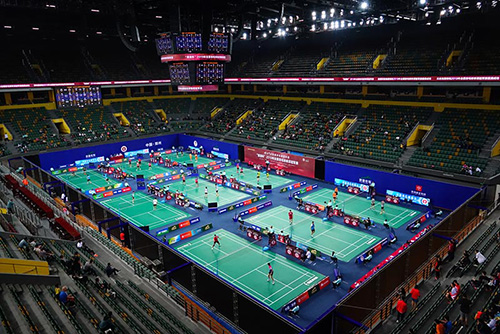 Maple Basketball Court Flooring Options for Professional and Recreational Use