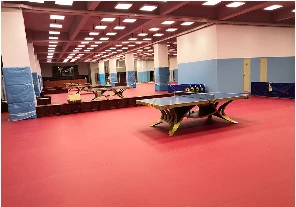How Can Sheet Vinyl Flooring Reshape a Sports Space with a Unique Look and Design Advantage