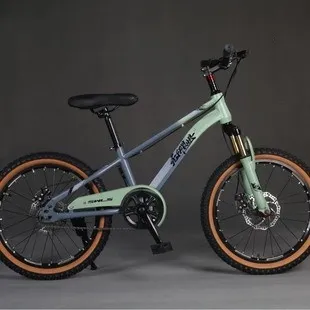 4-Wheel Kids Bike: Exercise, Balance, Coordination | Carbon Steel 5-10 Yrs