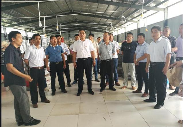 3-Wheel and 2-Wheel Scooters - The Ultimate Guide to Safe and Fun Riding