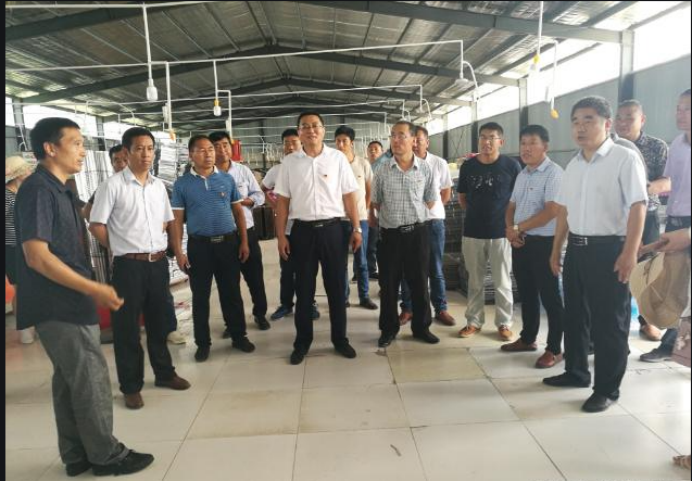 battery powered bumper cars