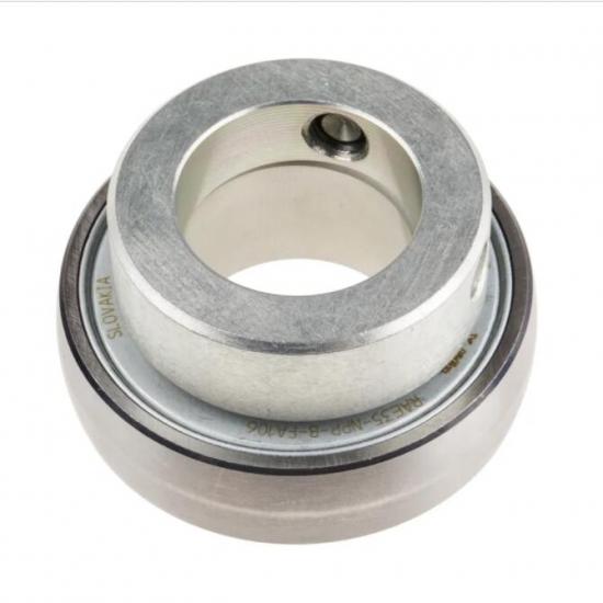 RAE 25 NPP Radial Insert Ball Bearings