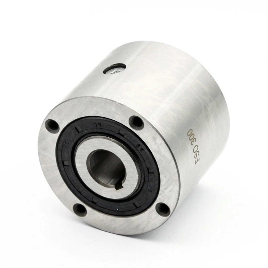 FSO300 12mm 14mm Hpi One Way Bearings Freewheels Sprag Clutch